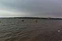Pour agrandir cliquer sur la vignette Pl_air_oct_2003_fleuve_05.jpg