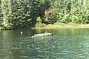 Pour agrandir cliquer sur la vignette plein_air_kayak_008.JPG