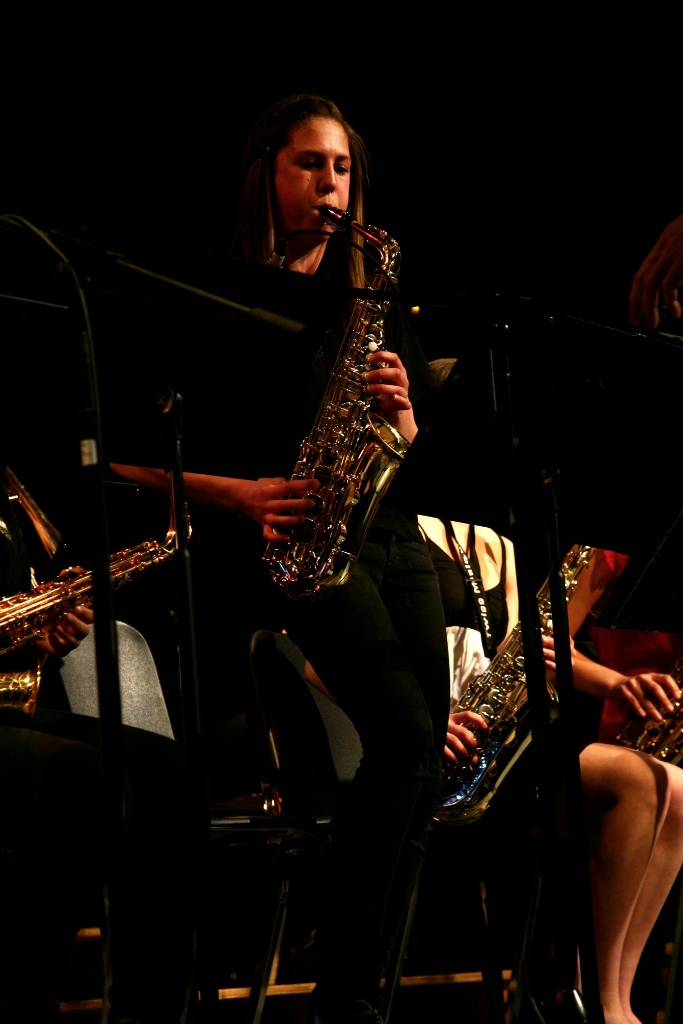 By Carl Nadeau<br>Concert au MSS, Vendredi le 7 mai 2010