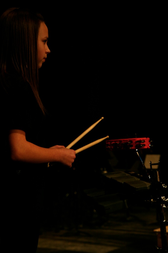By Carl Nadeau<br>Concert au MSS, Vendredi le 7 mai 2010