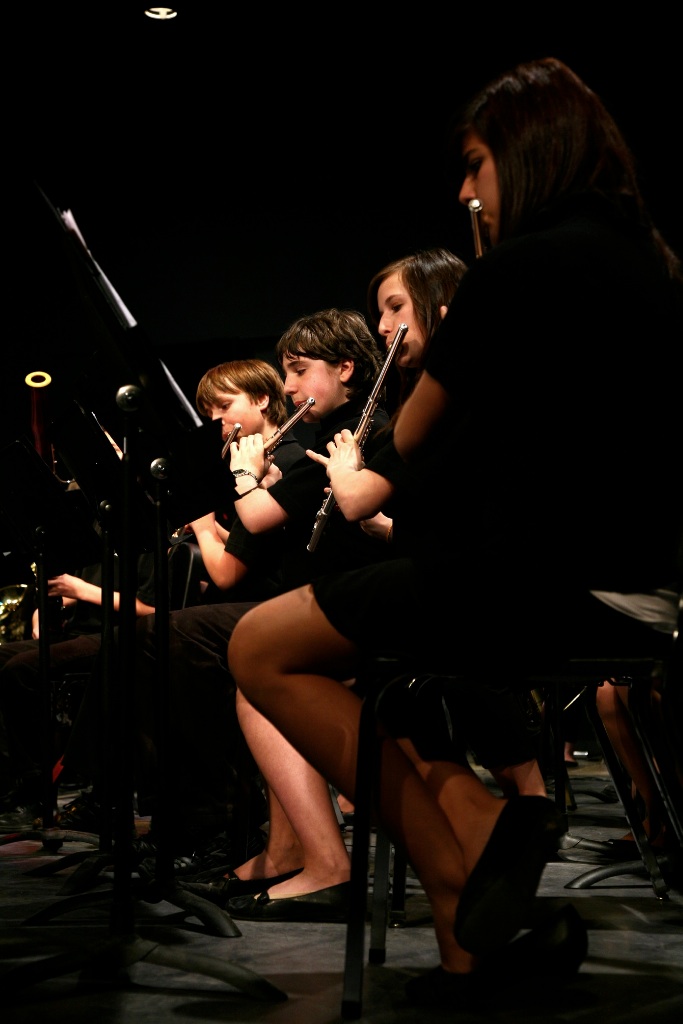 By Carl Nadeau<br>Concert au MSS, Vendredi le 7 mai 2010
