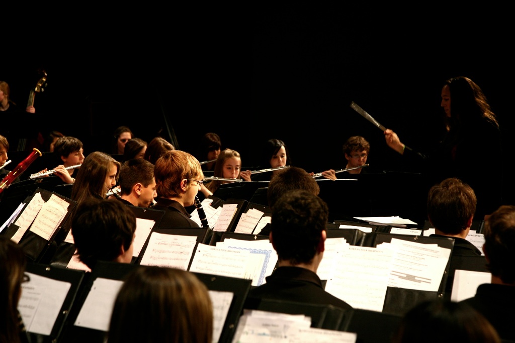 By Carl Nadeau<br>Concert au MSS, Vendredi le 7 mai 2010