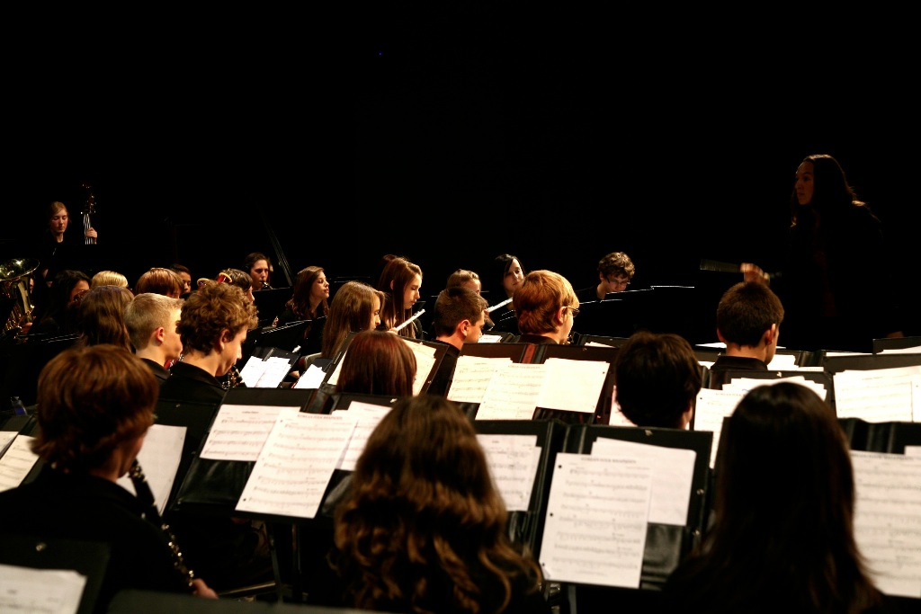 By Carl Nadeau<br>Concert au MSS, Vendredi le 7 mai 2010