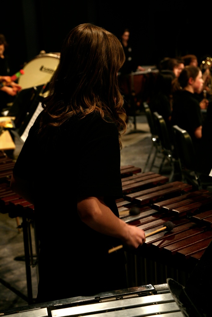 By Carl Nadeau<br>Concert au MSS, Vendredi le 7 mai 2010
