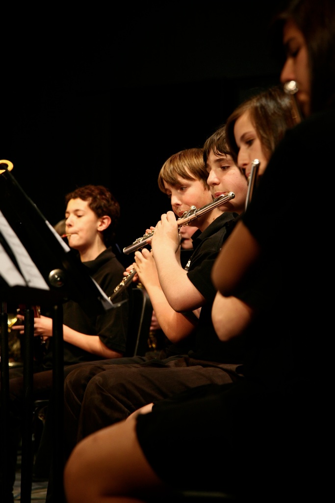 By Carl Nadeau<br>Concert au MSS, Vendredi le 7 mai 2010