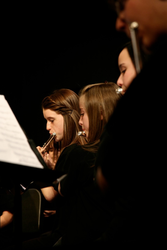 By Carl Nadeau<br>Concert au MSS, Vendredi le 7 mai 2010
