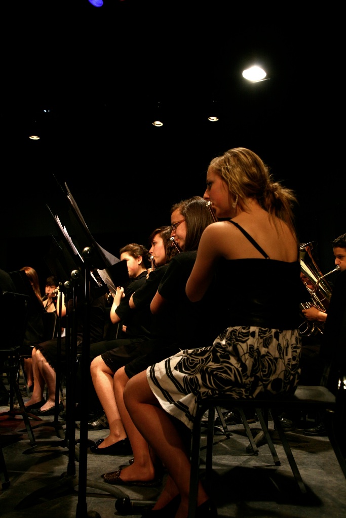 By Carl Nadeau<br>Concert au MSS, Vendredi le 7 mai 2010