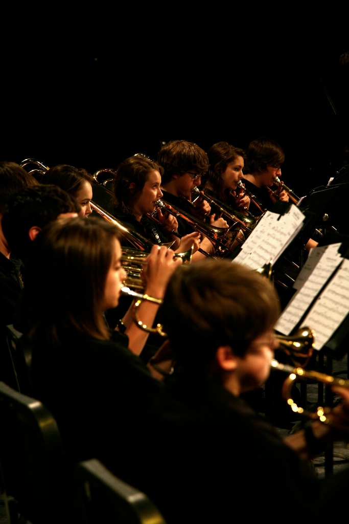 By Carl Nadeau<br>Concert au MSS, Vendredi le 7 mai 2010