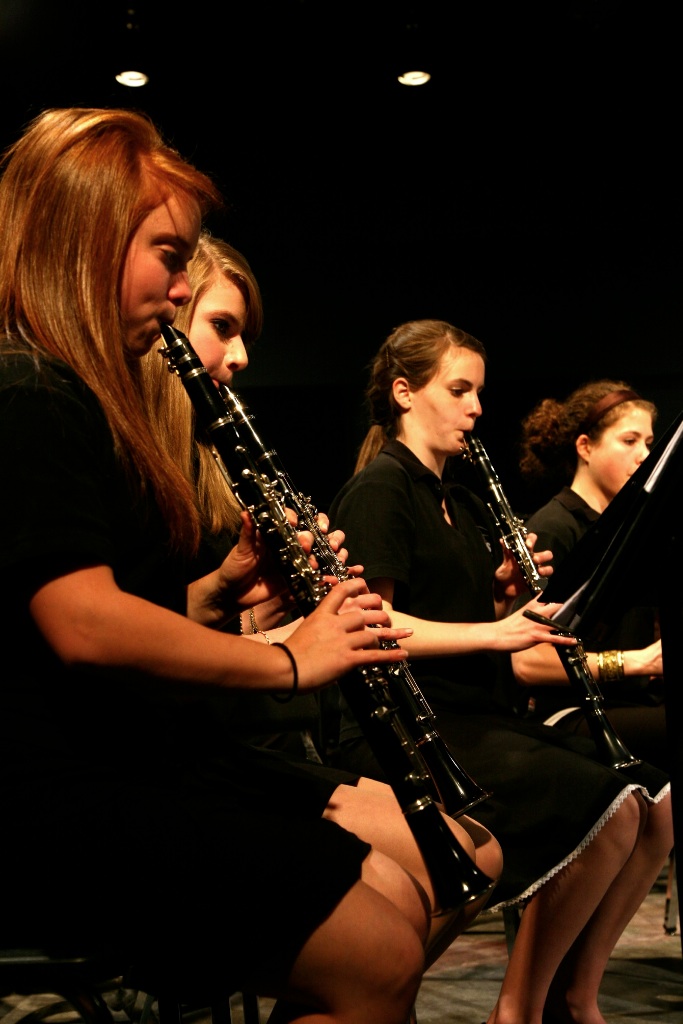 By Carl Nadeau<br>Concert au MSS, Vendredi le 7 mai 2010