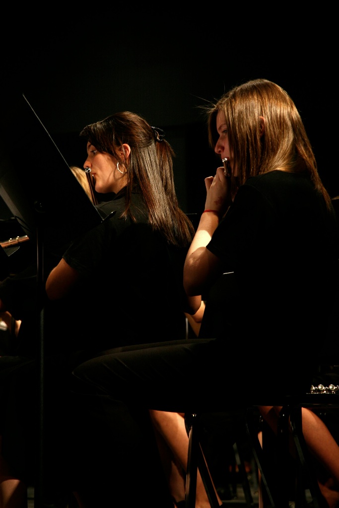 By Carl Nadeau<br>Concert au MSS, Vendredi le 7 mai 2010