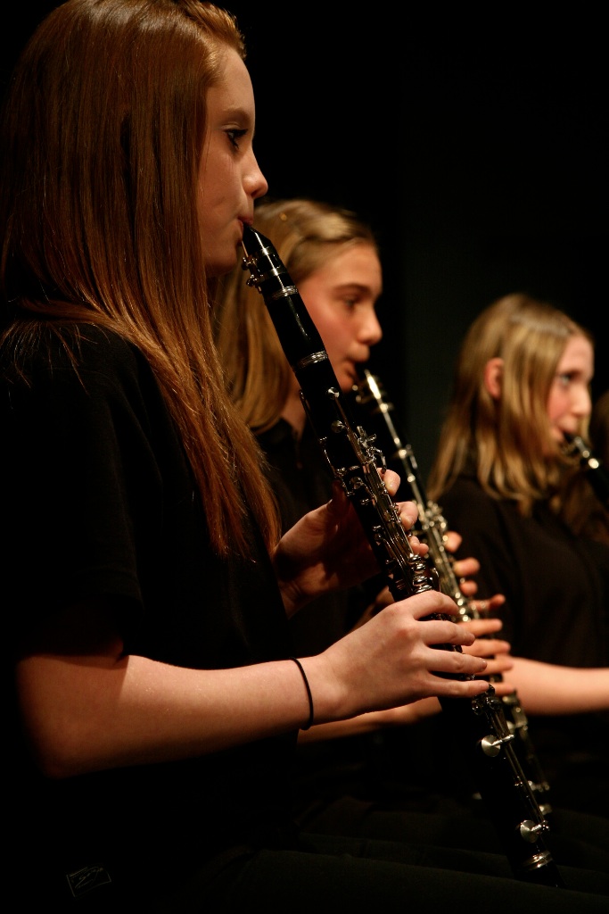 By Carl Nadeau<br>Concert au MSS, Samedi le 8 mai 2010, en PM