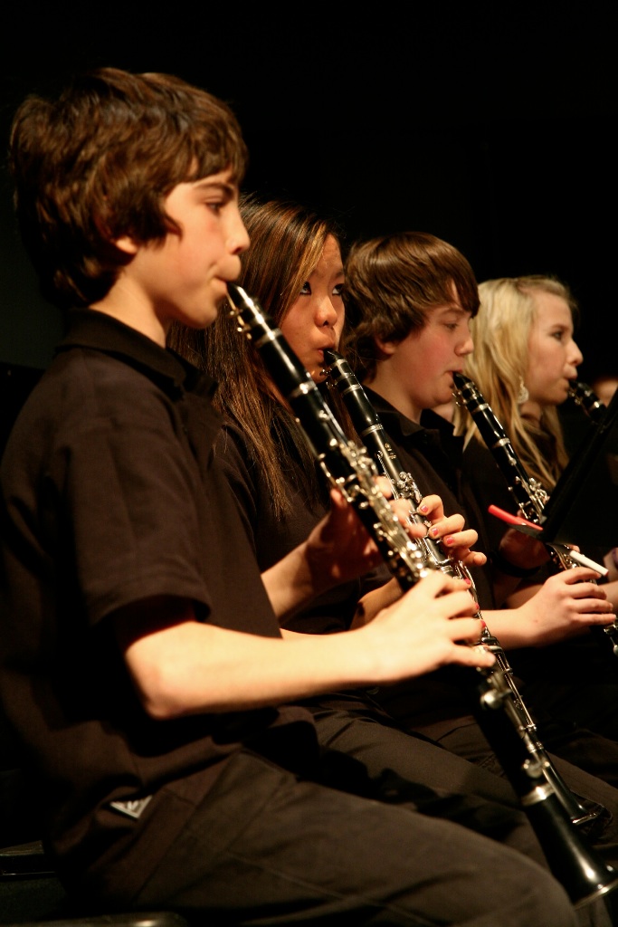 By Carl Nadeau<br>Concert au MSS, Samedi le 8 mai 2010, en PM
