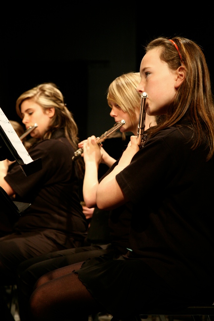 By Carl Nadeau<br>Concert au MSS, Samedi le 8 mai 2010, en PM