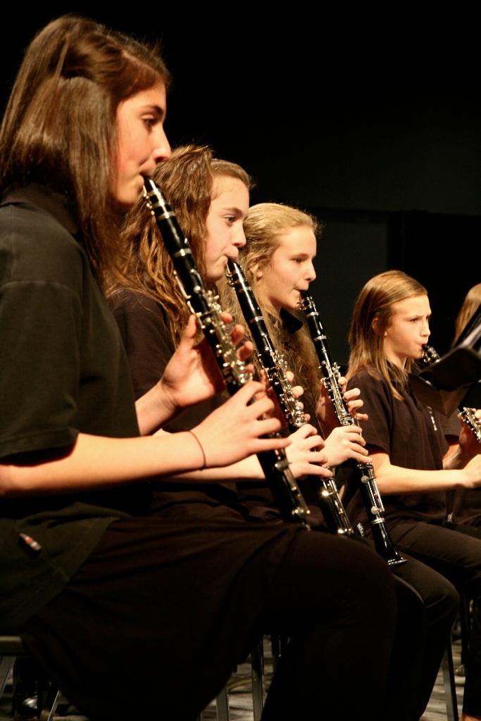 By Carl Nadeau<br>Concert au MSS, Samedi le 8 mai 2010, en PM