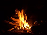 DSC 0029