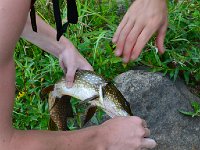 DSC 0096