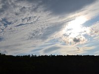 DSC 0108
