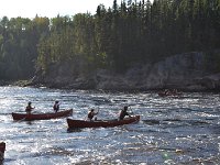 DSC 0993