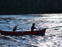 DSC 1015