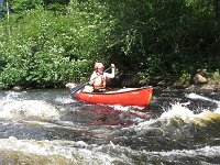 IMG 2584