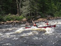 IMG 2618