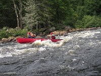 IMG 2619