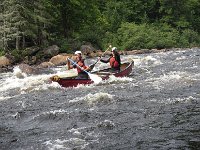 IMG 2622