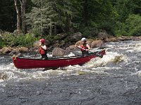 IMG 2624
