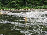 IMG 2629