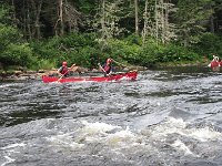IMG 2640