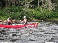 IMG 2642