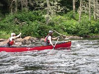 IMG 2643