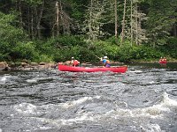 IMG 2646