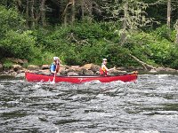 IMG 2647