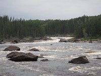 IMG 2819