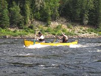 IMG 2847