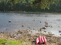 IMG 2864