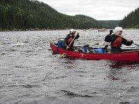 IMG 2901