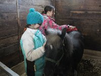 IMG 7904