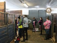 IMG 7917