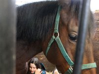 IMG 7952