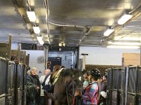 IMG 7979
