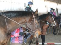 IMG 8100