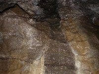 P1180495