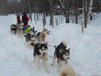 DSCN0666