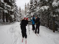 Ski de fond 105